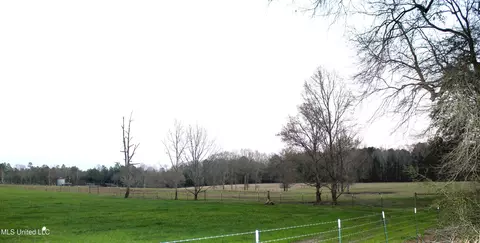 20 Acres Basin Refuge Rd, Lucedale, MS 39452 photo 6