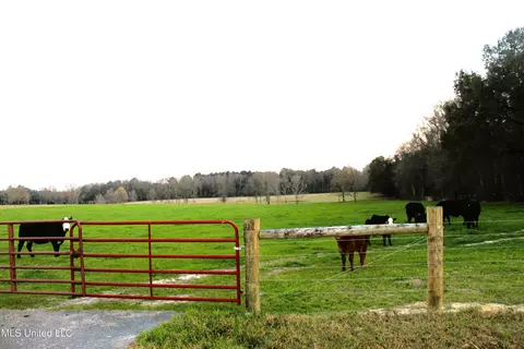 20 Acres Basin Refuge Rd, Lucedale, MS 39452 photo 2