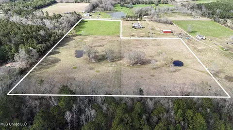 20 Acres Basin Refuge Rd, Lucedale, MS 39452 photo 18