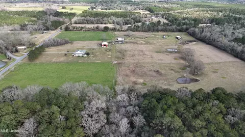 20 Acres Basin Refuge Rd, Lucedale, MS 39452 photo 21