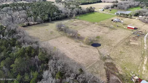 20 Acres Basin Refuge Rd, Lucedale, MS 39452 photo 15