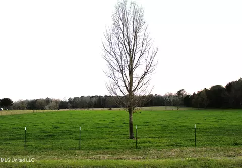 20 Acres Basin Refuge Rd, Lucedale, MS 39452