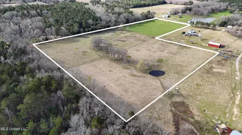 20 Acres Basin Refuge Rd, Lucedale, MS 39452 photo 16
