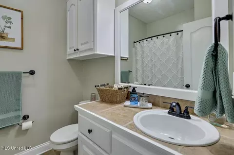 Bath - 431 Pinebrook Cir, Brandon, MS 39047 photo 3 of 3