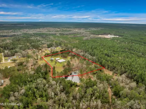 View/Area - 75 Percy Oneal Rd, Mchenry, MS 39561 photo 6 of 11