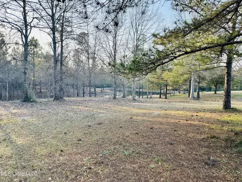 Other - 75 Percy Oneal Rd, Mchenry, MS 39561 photo 6 of 7