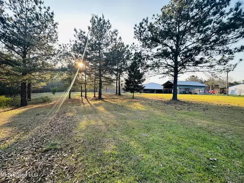 Exterior - 75 Percy Oneal Rd, Mchenry, MS 39561 photo 4 of 10