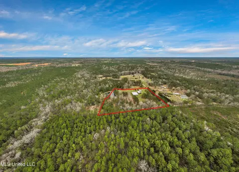 View/Area - 75 Percy Oneal Rd, Mchenry, MS 39561 photo 7 of 11