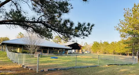 Exterior - 75 Percy Oneal Rd, Mchenry, MS 39561 photo 6 of 10