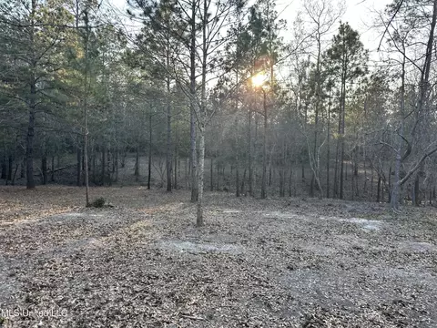 Other - 75 Percy Oneal Rd, Mchenry, MS 39561 photo 7 of 7