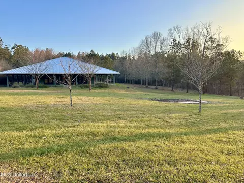 Exterior - 75 Percy Oneal Rd, Mchenry, MS 39561 photo 10 of 10