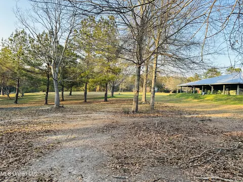 Exterior - 75 Percy Oneal Rd, Mchenry, MS 39561 photo 7 of 10