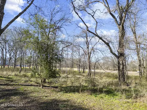 2026 Main St, Madison, MS 39110 photo 21