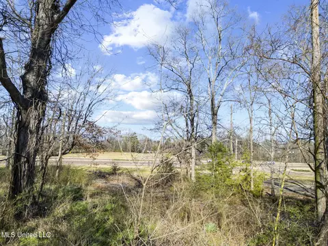 2026 Main St, Madison, MS 39110 photo 23