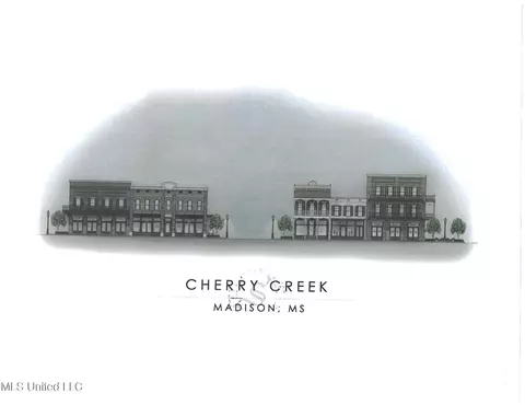 2026 Main St, Madison, MS 39110 photo 28