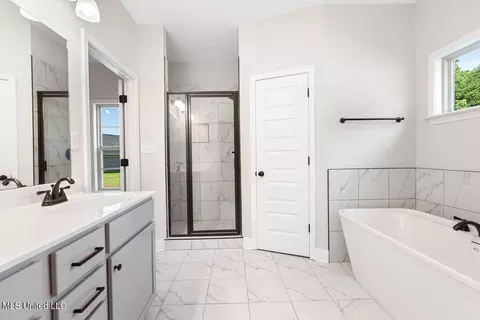 Bath - 2355 Scott Meadows Ln, Hernando, MS 38632 photo 1 of 2