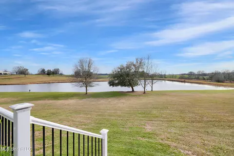116 Sweetgrass Cv, Lucedale, MS 39452 photo 49