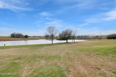 116 Sweetgrass Cv, Lucedale, MS 39452 photo 51