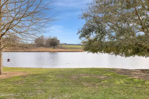 116 Sweetgrass Cv, Lucedale, MS 39452 photo 53