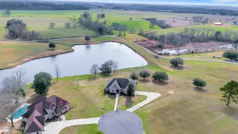 116 Sweetgrass Cv, Lucedale, MS 39452 photo 6