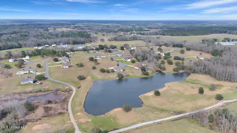 116 Sweetgrass Cv, Lucedale, MS 39452 photo 64