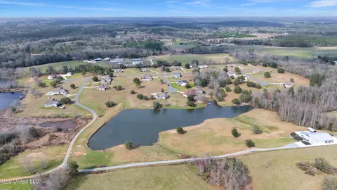 116 Sweetgrass Cv, Lucedale, MS 39452 photo 67