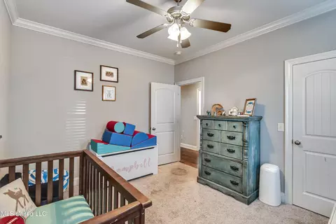 118 Tara Dr, Flora, MS 39071 photo 34