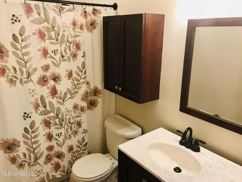 Bath - 319 Mallory Dr, Byram, MS 39272 photo 1 of 1