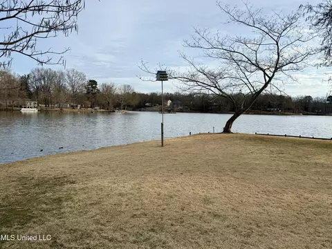 Exterior - 8466 Crazy Horse Cv, Hernando, MS 38632 photo 5 of 6