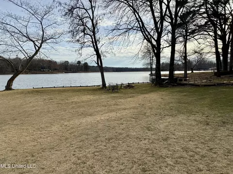 Exterior - 8466 Crazy Horse Cv, Hernando, MS 38632 photo 6 of 6