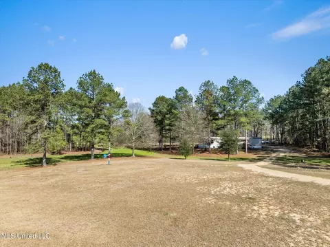 Exterior - 44 Pine Log Branch Rd, Richton, MS 39476 photo 11 of 11