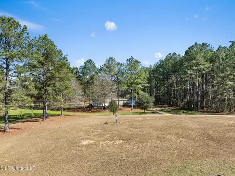 Exterior - 44 Pine Log Branch Rd, Richton, MS 39476 photo 10 of 11