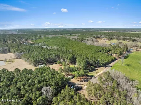 View/Area - 44 Pine Log Branch Rd, Richton, MS 39476 photo 4 of 5