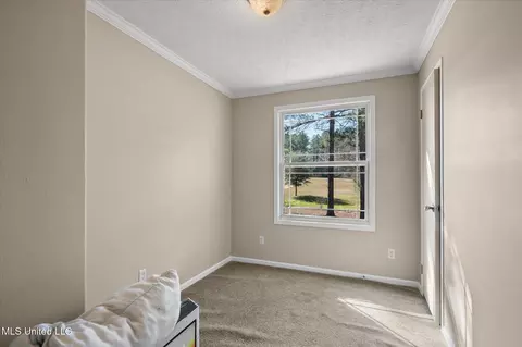 Other - 44 Pine Log Branch Rd, Richton, MS 39476 photo 2 of 9