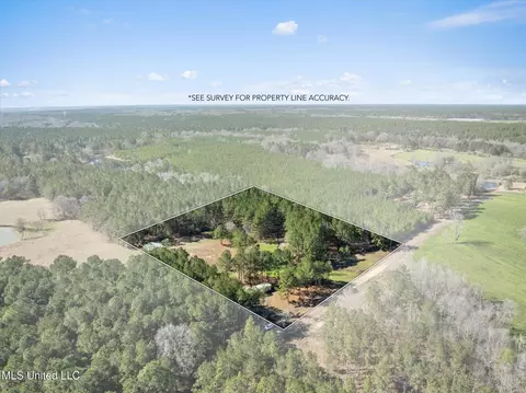View/Area - 44 Pine Log Branch Rd, Richton, MS 39476 photo 1 of 5