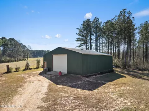 Other - 44 Pine Log Branch Rd, Richton, MS 39476 photo 6 of 9