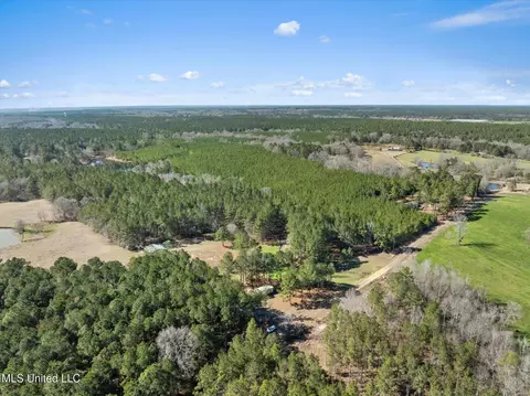 View/Area - 44 Pine Log Branch Rd, Richton, MS 39476 photo 3 of 5
