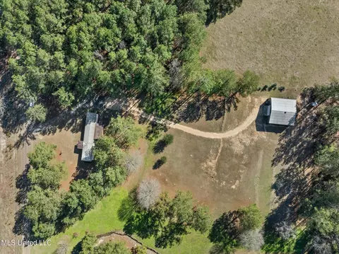 View/Area - 44 Pine Log Branch Rd, Richton, MS 39476 photo 5 of 5