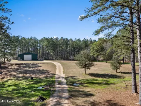 Exterior - 44 Pine Log Branch Rd, Richton, MS 39476 photo 9 of 11