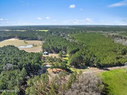 View/Area - 44 Pine Log Branch Rd, Richton, MS 39476 photo 2 of 5