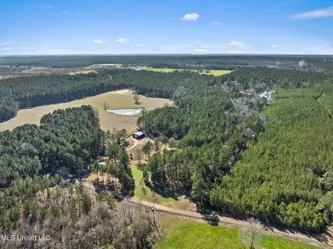 Other - 44 Pine Log Branch Rd, Richton, MS 39476 photo 9 of 9