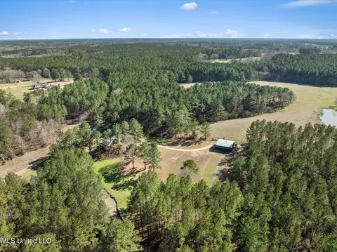 Other - 44 Pine Log Branch Rd, Richton, MS 39476 photo 7 of 9