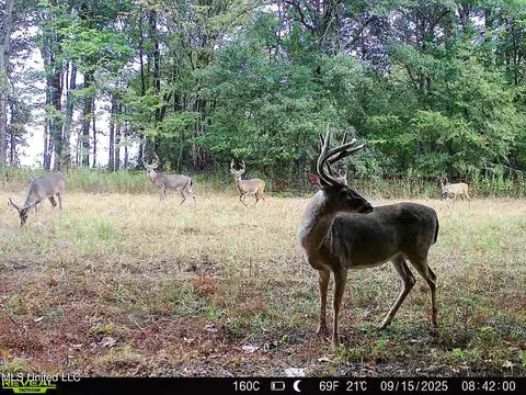 Curtis Road, Batesville, MS 38606