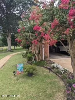 Exterior - 255 Deerfield Rd, Grenada, MS 38901 photo 3 of 8