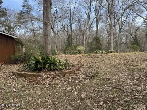 40 Old Courthouse Rd, Natchez, MS 39120 photo 47