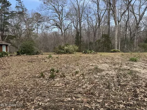 40 Old Courthouse Rd, Natchez, MS 39120 photo 48