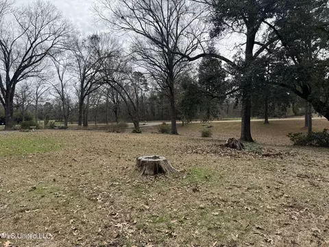 40 Old Courthouse Rd, Natchez, MS 39120 photo 49