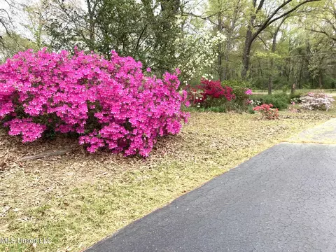 40 Old Courthouse Rd, Natchez, MS 39120 photo 2