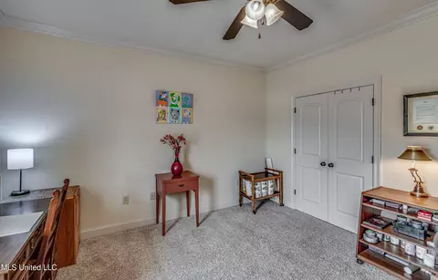 Other - 435 Glendale Pl, Brandon, MS 39047 photo 11 of 13