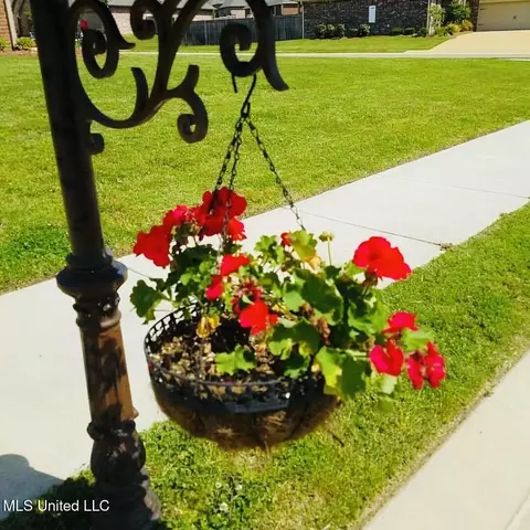 Exterior - 435 Glendale Pl, Brandon, MS 39047 photo 19 of 19